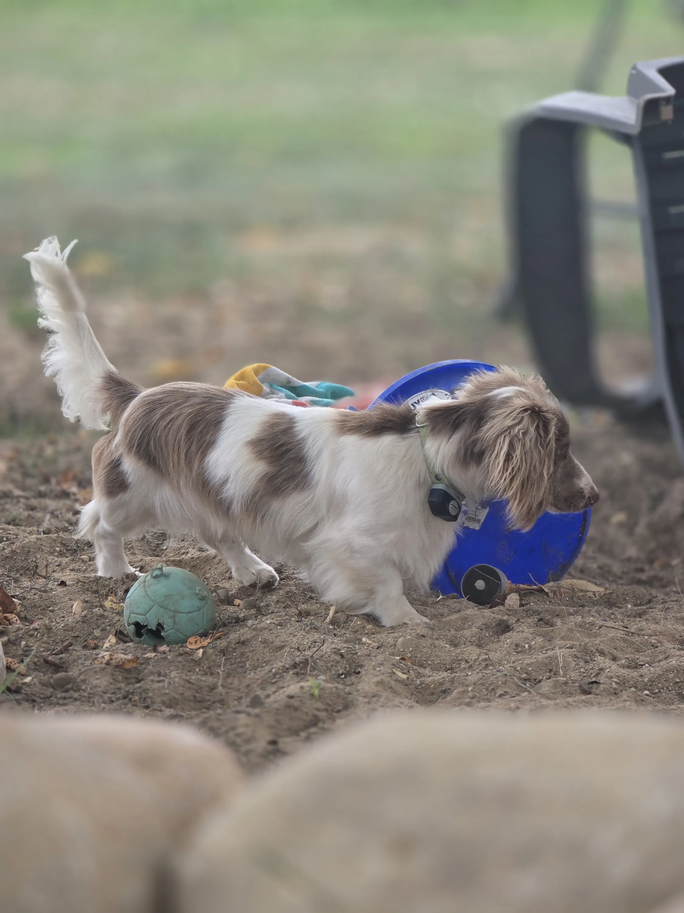 Winston playing with his toys
