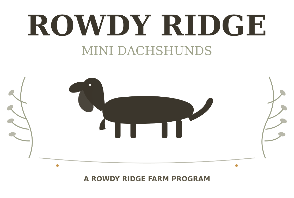 Rowdy Ridge Mini Dachshunds logo